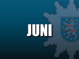 Link: Juni