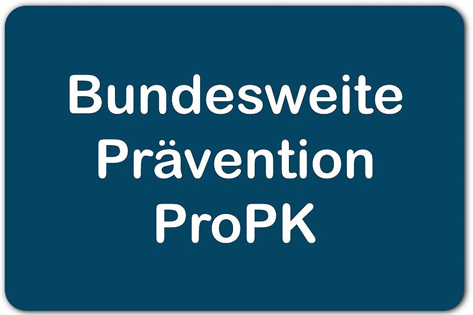 zur Website der Bundesweiten Prävention
