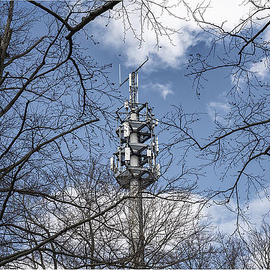 Digitalfunkmast hinter Bäumen